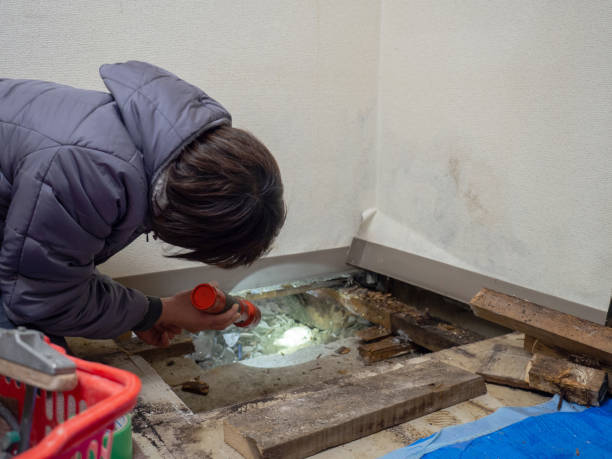 Best Airborne Mold Testing  in Bemidji, MN