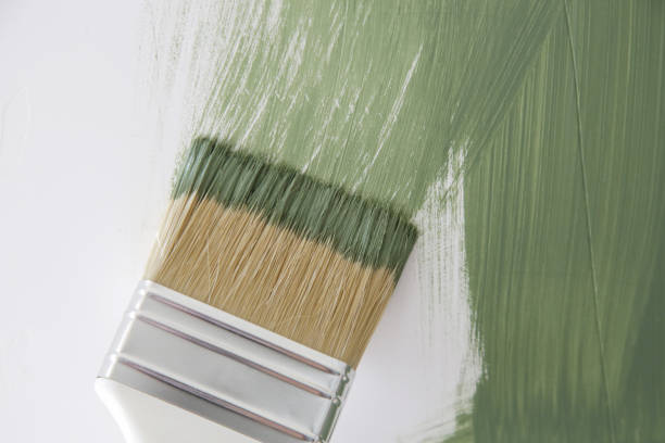 Reliable Bemidji, MN Mold Removal Solutions