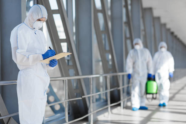 Best Industrial Mold Remediation  in Bemidji, MN