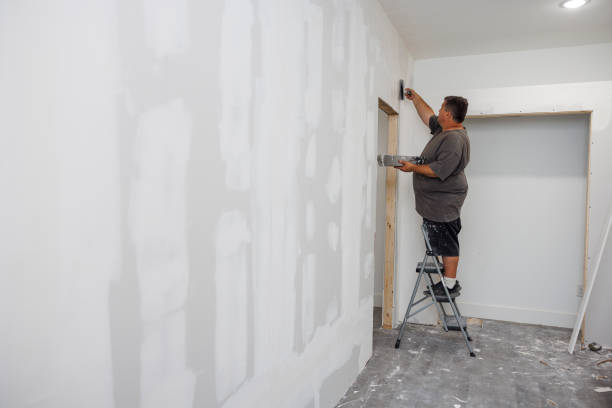 Best Mold Remediation for Healthcare Facilities  in Bemidji, MN