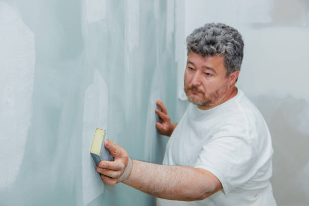 Best HVAC Mold Inspection and Cleaning  in Bemidji, MN